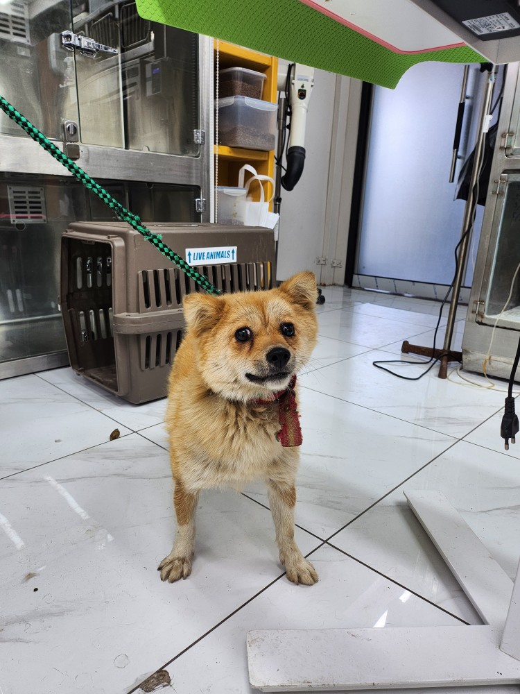신공항동물병원_428349202300448